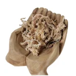 Potted flowers succulent long fiber sphagnum moss new zealand wholesale natural dried dry sphagnum moss peat moss for plants