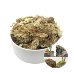 Potted flowers succulent long fiber sphagnum moss new zealand wholesale natural dried dry sphagnum moss peat moss for plants