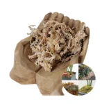 Potted flowers succulent long fiber sphagnum moss new zealand wholesale natural dried dry sphagnum moss peat moss for plants