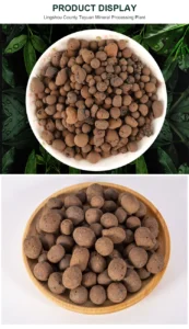 Clay Balls for Succulent Plant Cultivation
