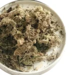 wholesale Potted flowers real natural dried dry sphagnum peat moss for plants sphagnum moss new zealand orchid pet pavement 10kg